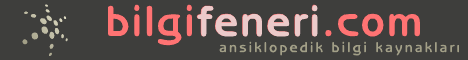 bilgi feneri